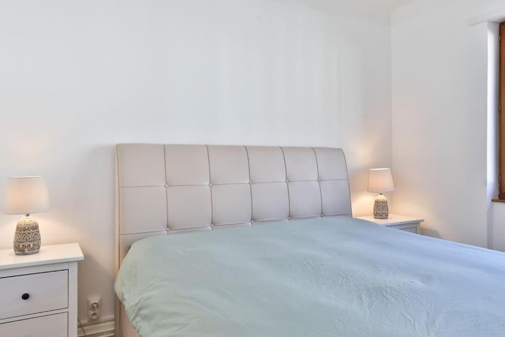 Suite Tres Moderne Et Cosy, Proche Centre-Ville, Mulhouse Centre Buitenkant foto