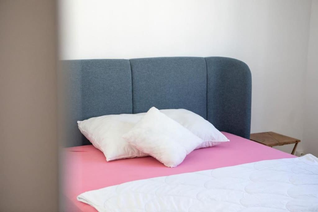 Suite Tres Moderne Et Cosy, Proche Centre-Ville, Mulhouse Centre Buitenkant foto